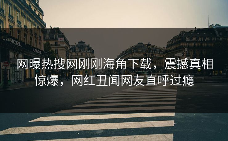网曝热搜网刚刚海角下载，震撼真相惊爆，网红丑闻网友直呼过瘾