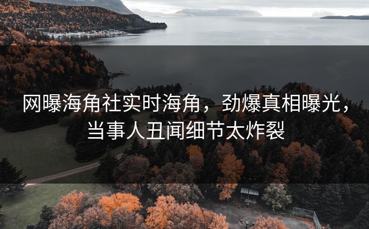 网曝海角社实时海角，劲爆真相曝光，当事人丑闻细节太炸裂