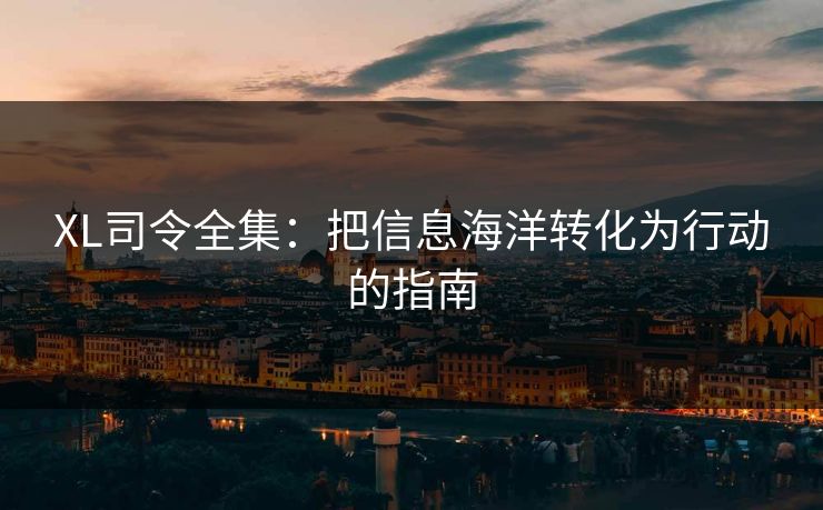 XL司令全集：把信息海洋转化为行动的指南