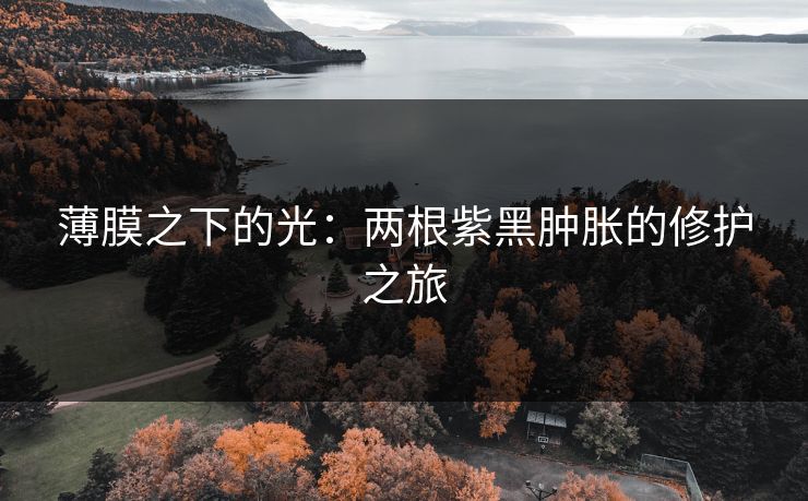薄膜之下的光：两根紫黑肿胀的修护之旅